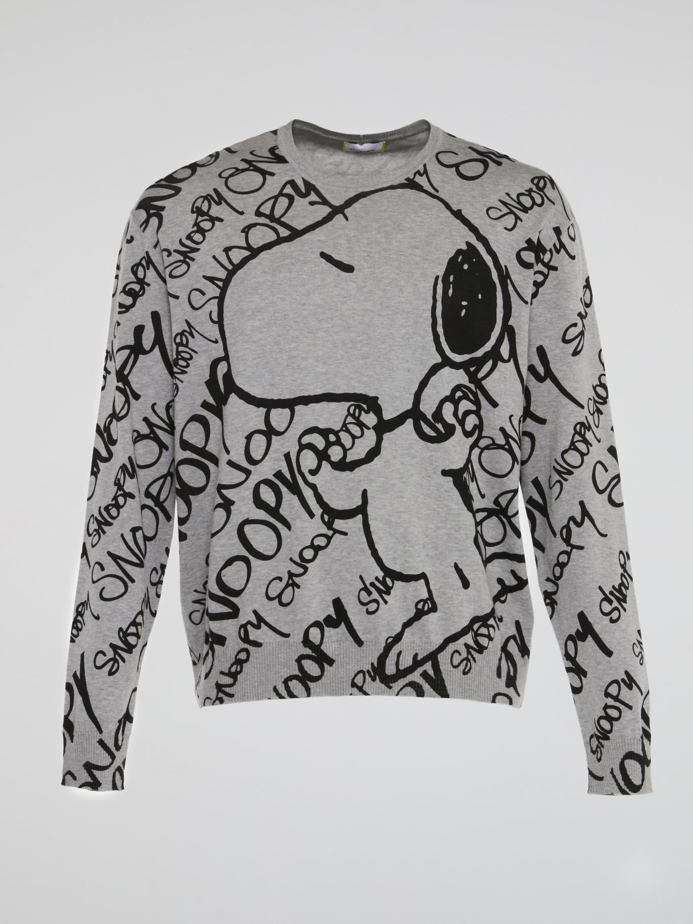 Iceberg shop snoopy sweatshirt