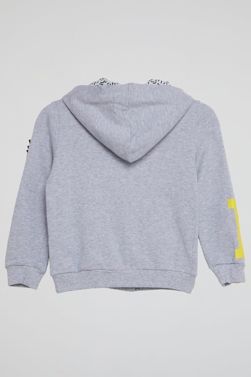 Grey Ice Graphic Edition Hoodie