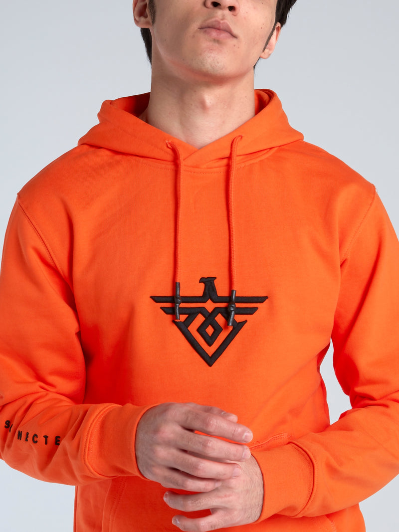 Dt shop hoodie orange